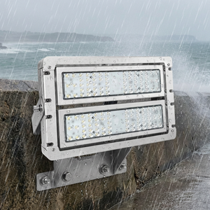Luz LED Marina de 12V 24V CC, Impermeable IP68, de Acero Inoxidable 316, para Iluminación de Muelles y Hombres de Lona, Luz LED para Barcos de 100w 300w 500w 600w - Product Image 1