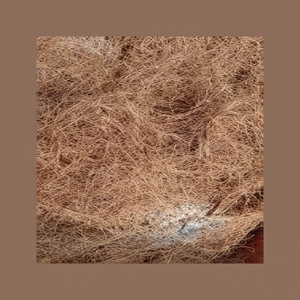 Fibre de noix de coco naturelle de haute qualité pour matelas brosses cordes tapis de culture paillis fibre de coco vente en gros de l'Inde - Product Image 1