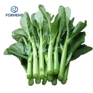 Récolteuse de légumes de largeur fonctionnante de 1.2m permettant la coupe douce et aucune cueillette <span class=keywords><strong>manuelle</strong></span> - Product Image 5