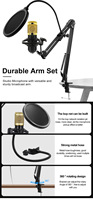 Lot mixte Microfone BM800 Ensemble de microphones à condensateur Accessoires de support en porte-à-faux en option Kit de diffusion en direct Microphone filaire