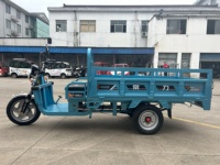 Chang Li Tricycle électrique 1 tonne Camion à benne basculante à 3 roues avec transport de marchandises sécurisé Moto sûre et durable