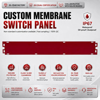 Teclado de Membrana PET Personalizado, Impermeable, con Superposición Gráfica, Impresión de una Sola Capa, Película Protectora para Equipos Industriales