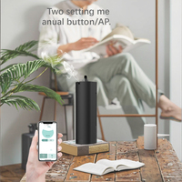 Diffuseur d'huiles essentielles sans eau 2025 Type-C et prise murale Machine à parfum Purificateur d'air domestique Contrôle par application Diffuseur de parfum pour le marché