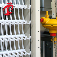 Cage à poulets entièrement automatique avec système automatique de collecte des œufs