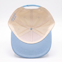Casquette de baseball personnalisée de haute qualité, bleu crème clair, visière incurvée avec broderie 3D TR, vente en gros OEM ODM