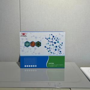 Kit de recherche <span class=keywords><strong>ELISA</strong></span> sandwich pour la protéine humaine liant l'ADN TAR 43 (TARDBP/TDP43) 48T/96T Pureté 99% - Product Image 1