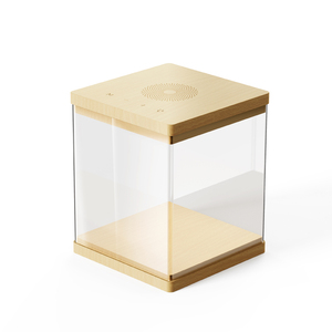 Boîte en acrylique transparente personnalisée, vitrine en plexiglas pour objets de collection, jouets, cosmétiques, chaussures, sacs à main, rangement domestique, haut-parleur sans fil - Product Image 5
