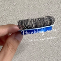 Vente en gros de plateaux d'extension de cils Mega Volume 0.07 Extensions de cils individuelles en cachemire 0.03 .05mm