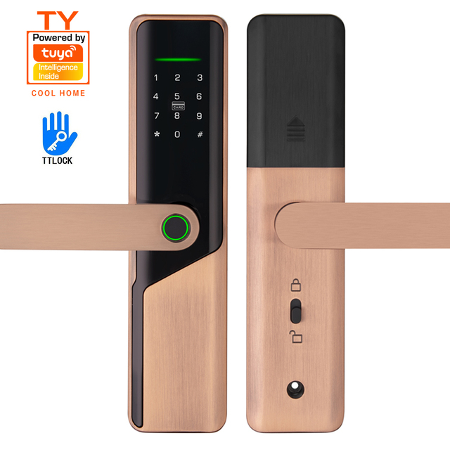 TTlock Password Digital Wifi Smart Lock Door Intelligente Electronic Fingerprint Smart Door Lock Tuya Smart Handle Lock
