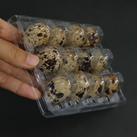 12 trous oeufs de caille plateau d'emballage boîte emballage pour oeufs de caille en plastique blister plateau d'oeufs de caille
