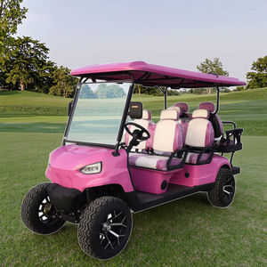 Voiturette de golf électrique certifiée CE, prix usine, 6 places, personnalisable, tout-terrain, pour routes non publiques - Product Image 1