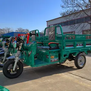 전기 trike 오픈 1000W 전기화물 3 륜 수송 성인 전기 세발 자전거