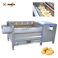 Machine automatique de nettoyage, lavage et pelage de fruits et légumes 800 kg/h, avec brosse pour pommes de terre