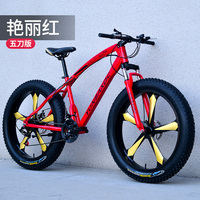 OEM dağ bisikleti yağ lastik kar bisikleti 26''27.5/29 inç alüminyum alaşım MTB bisiklet 4.0 yağ Bikecycle ile adam için 5 ispitli tekerler