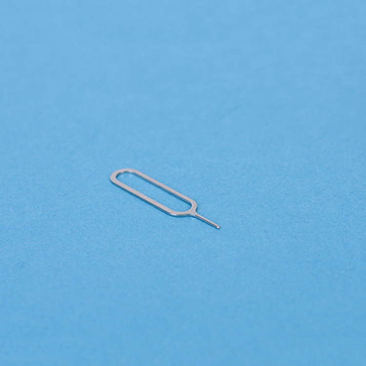 Strumento 2 In 1 Per Rimozione SIM E Spazzola Per Auricolari – Ago Portachiavi Con Spazzola Fine Per Pulizia, Argento