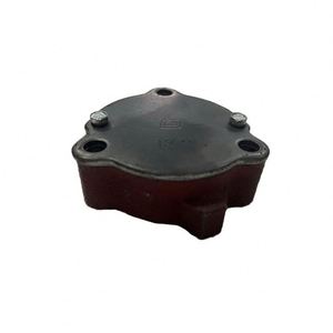 อะไหล่เครื่องยนต์ดีเซล Tengka 1110 ปั๊มน้ำมันเหล็กหล่อ ผลิตภัณฑ์เกียร์ - Product Image 2