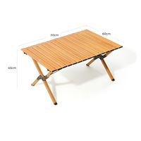 Table de camping pliante en métal portable, mobilier d'extérieur léger pour la cuisine, la plage, le salon, la chambre, la salle de sport