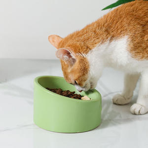 Mangkuk kucing keramik multiwarna desain Modern 2025 perlindungan tulang belakang tengkuk mangkuk makanan tempat makan hewan peliharaan - Product Image 4