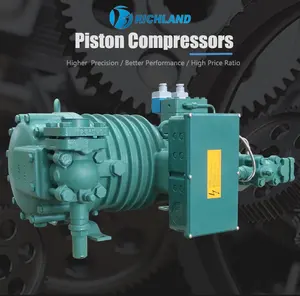 Compressore a vite Semi-ermetico portatile a bassa temperatura di alta qualità 100 m3/h 121 m3/h refrigerazione industriale