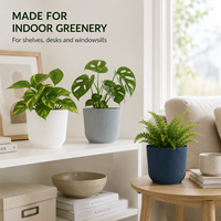 Pot de fleurs en plastique PP à nervures, moderne, rond, pour plantes d'intérieur, pour bureau, étagère et petites plantes d'intérieur