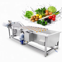 Oranje was- en polijstmachine voor fruit en groenten, was- en verpakkingslijn voor fruit en groenten, reinigingsmachine voor fruit en groenten
