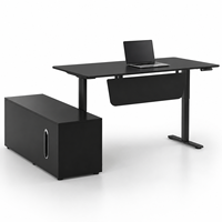 Estación de Trabajo de Oficina Ajustable en Negro Mate con Mueble Lateral, Escritorio Ejecutivo Eléctrico, Fabricante OEM ODM