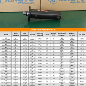 Plataforma Elevadora Hidráulica de Acero Inoxidable de 12 V para Puertas de Contenedores, 12 Toneladas, Cilindro Hidráulico de 100 mm de Diámetro - Product Image 5