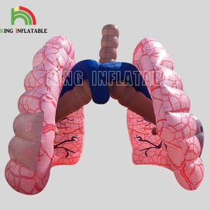 Pendidikan Medis Kanker Paru-paru, Kelas Biologi Sekolah Pelatihan Medis Model Paru-paru Raksasa Tiup - Product Image 1