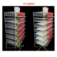 Cage à cailles compacte conçue pour des opérations d'élevage efficaces avec production avicole automatisée