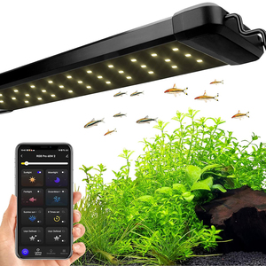 Best LED Light for Fish Tank in 2025