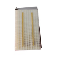 Filtre à air pour Dfsk Glory 500 580 Pro code pièce 1109120-Sn01 pièces détachées automobiles en gros