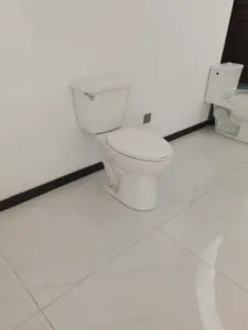 Medyag grosir perlengkapan kebersihan kamar mandi Toilet Commode Toilet mangkuk diperpanjang sifon dua bagian Toilet