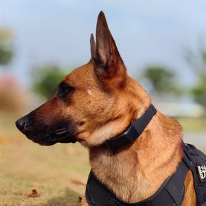 Four Contact Electric Shock <b>Dog</b> <b>Training</b> <b>Collar</b> Rechargeable Black Plastic Multi Function Bark Control Equipment - Product Image 3