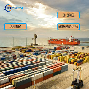 Transporte marítimo agente de transporte de envío internacional China a Serbia agente de envío a Serbia Servicio DDP - Product Image 3