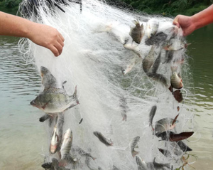 Chine usine <span class=keywords><strong>prix</strong></span> <span class=keywords><strong>de</strong></span> gros <span class=keywords><strong>professionnel</strong></span> <span class=keywords><strong>filet</strong></span> <span class=keywords><strong>de</strong></span> pêche maillant 3 couches <span class=keywords><strong>filet</strong></span> maillant à vendre - Product Image 5