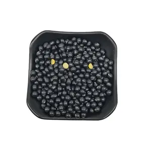 Cinese essiccato <span class=keywords><strong>soia</strong></span> <span class=keywords><strong>nera</strong></span> <span class=keywords><strong>soia</strong></span> <span class=keywords><strong>nera</strong></span> nella sua forma più pura <span class=keywords><strong>soia</strong></span> biologica Non-GMO <span class=keywords><strong>nera</strong></span> per salsa di <span class=keywords><strong>soia</strong></span> - Product Image 1