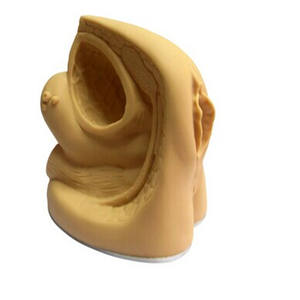 مصنع المخرج الإناث سيكسويل جهاز قسطرة محاكي - Product Image 1