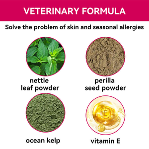 Alergia Probiótico Immue Soft Chews para perros de compañía Fomenta la levadura saludable y la función digestiva - Product Image 4