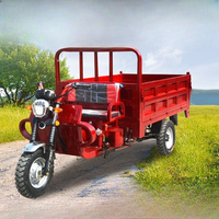 Tricycle de fret à benne basculante hydraulique 2 places, refroidi par air/eau, 200-350 cm³, pour usage intensif, à essence, avec benne ouverte – Offre Spéciale