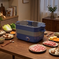 Prix usine 5L multifonctionnel carré verre trempé marmite antiadhésive poêle à frire ménage cuisinière électrique économiseur d'énergie pour