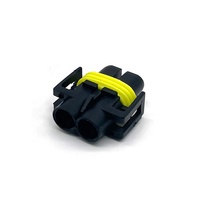2-Pin Weiblicher H11 H8 H9 Nebelscheinwerfer-Kabelbaum-Stecker Wasserdichter HID-Xenon-Lichtanschluss 12124819