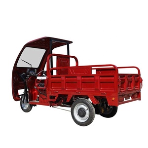 Auto Three Wheeler Tricycle 1500W Tricycle Screen Canopy Cabin Pedicab Manufacturer Price - Product Image 3