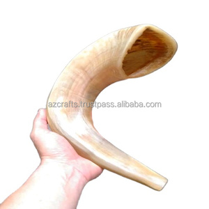 Shofar en corne de bœuf poli en gros - Artisanat de haute qualité, objet d'art et de collection, fabricant de shofars naturels (A Z CRAFTS) - Product Image 1