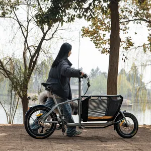 20 "consegna cibo Ebike elettrico Pet campeggio Picnic bici Cargo con motore posteriore