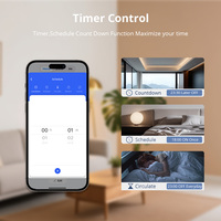 Module d'interrupteur intelligent Zemismart Tuya Zigbee 1 ou 2 voies avec statistiques de consommation, installation dissimulée sans fil neutre, compatible Alexa Google Home