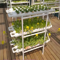 Système de culture hydroponique vertical cylindrique pour ananas, pour intérieur/extérieur/jardin, économiseur d'eau, petit format, pour la culture de légumes