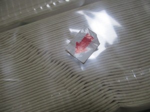 中国出货前100%质量控制检查员组织机构私人代理德国海外工厂验货服务 - Product Image 5