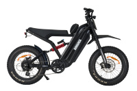 Vélo électrique tout-terrain vintage à moteur puissant 1000W 1500W avec batterie lithium 25Ah 30Ah, moto électrique