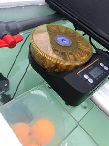 Exportação Novo Alimentador Automático <span class=keywords><strong>Pet</strong></span> Comida Molhada Comida <span class=keywords><strong>Irregular</strong></span> Fornecedor Profissional <span class=keywords><strong>Pet</strong></span> <span class=keywords><strong>Bowl</strong></span> Alimentador Automático Peixe - Product Image 4