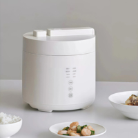 Cuisinière à pression portable mini 2,5 L, cuve intérieure antiadhésive, multifonctionnelle, intelligente, pour nouilles, soupes, bouillies et riz